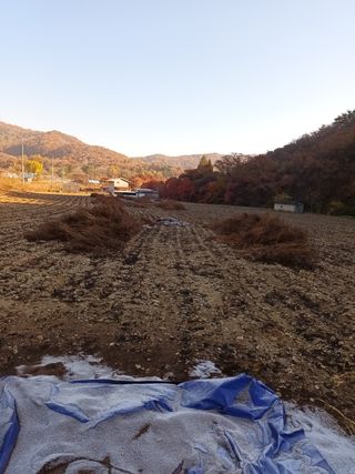 이정민님의 작성글 사진