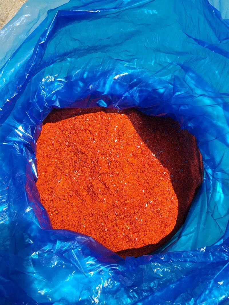 김윤수님의 장터 판매 상품 [20222022년 햇고추가루 1근(600g)13000] 첨부 사진