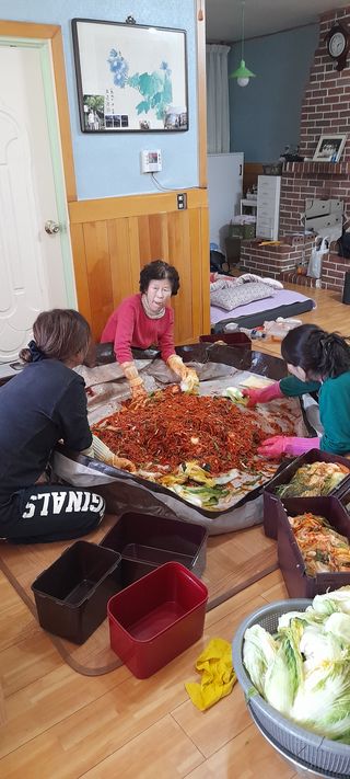 吳宇夏 오솔길오두막님의 배추 · 일상 작성글 사진