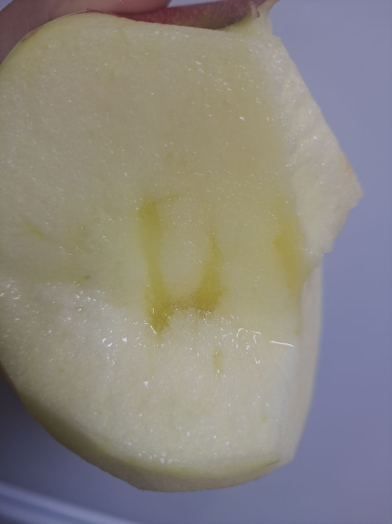 장터 상품 [🏞강원도 횡성 치악산 부사사과 판매🏞  저희 과원은] 썸네일