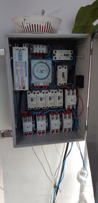 김기영님의 상추 · 자유게시판 작성글 사진