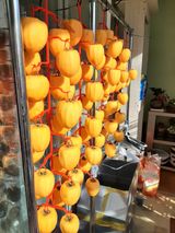 팜모닝 감·자유게시판 게시글 이미지