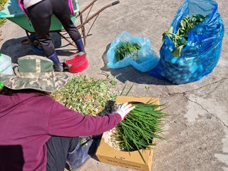 권오정님의 기타작물 · 자유게시판 작성글 사진