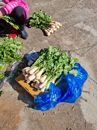 권오정님의 기타작물 · 자유게시판 작성글 사진