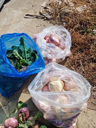 권오정님의 기타작물 · 자유게시판 작성글 사진