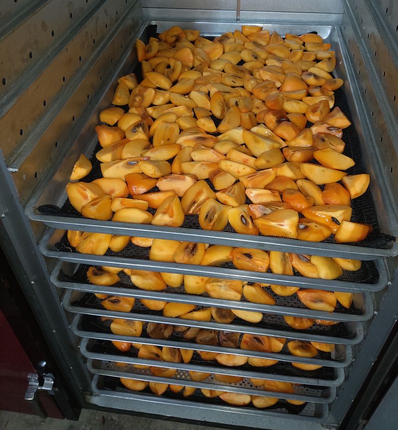 모야아빠님의 장터 판매 상품 [하동 악양 대봉감말랭이 1 만원 (800g)] 첨부 사진