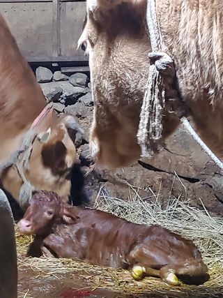 김윤철님의 기타작물 · 자유게시판 작성글 사진