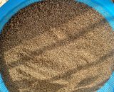 팜모닝 들깨·자유게시판 게시글 이미지