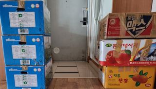 밝은숲님의 들깨 · 자유게시판 작성글 사진