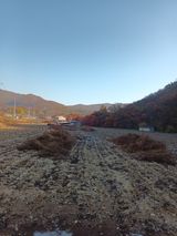 팜모닝 · 게시글 이미지