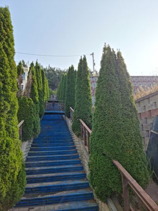 탱이야님의 기타작물 · 자유게시판 작성글 사진