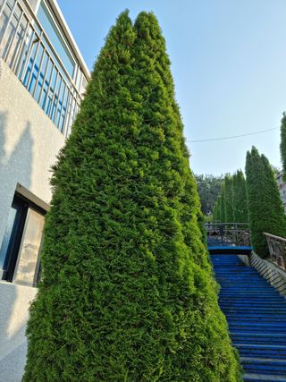 탱이야님의 기타작물 · 자유게시판 작성글 사진