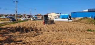 류춘열브랜드상상예찬님의 콩 · 자유게시판 작성글 사진