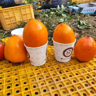 두딸맘님의 작성글 사진