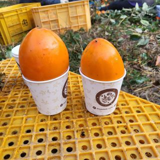 두딸맘님의 작성글 사진