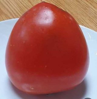 두딸맘님의 작성글 사진