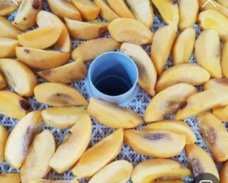 두딸맘님의 작성글 사진