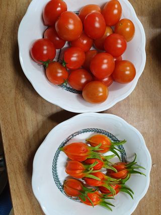 김권수님의 배추 · 일상 작성글 사진