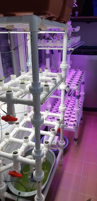 김기영님의 작성글 사진