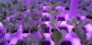 김기영님의 작성글 사진