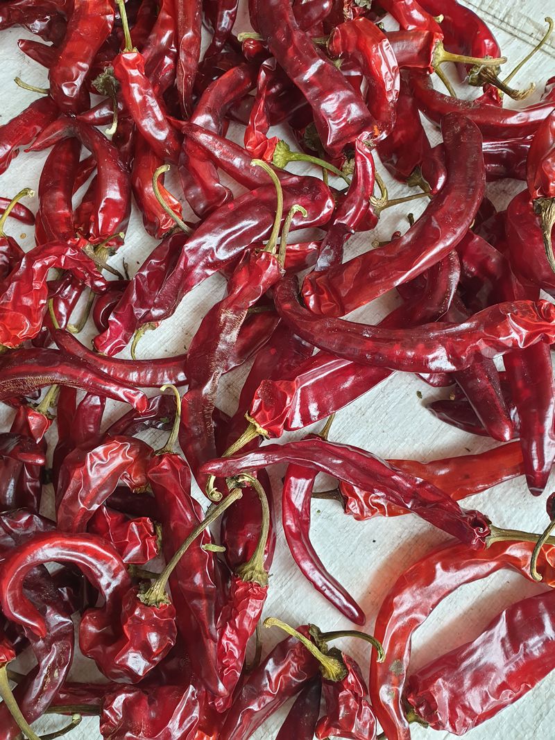 장터 상품 [건고추 한근(600g) 12000원 🌶기타: 택배도 하긴하나  확실하게 하기위해 직거래 추천드려요 오셔서 ] 썸네일