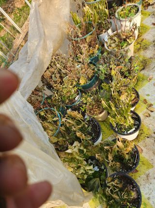 Preotu님의 기타작물 · 자유게시판 작성글 사진