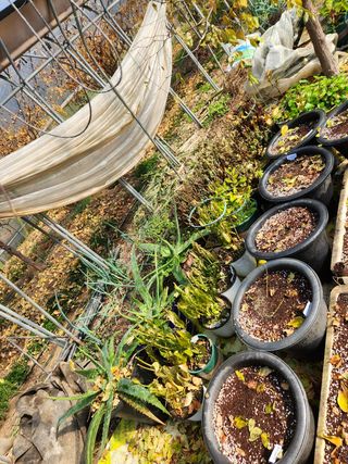 Preotu님의 기타작물 · 자유게시판 작성글 사진