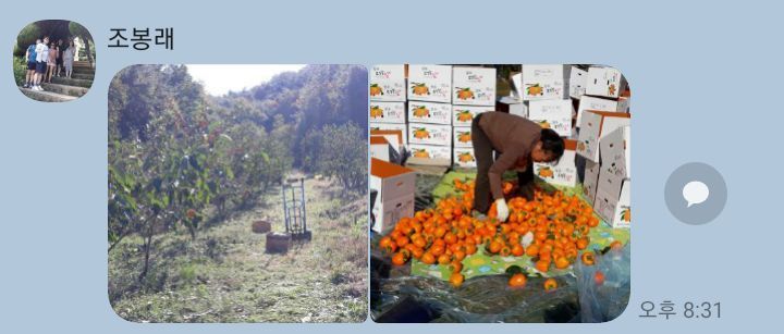 장터 상품 [(고종시)☆20k☆25000₩ 10k2박스(25000₩)입니다] 썸네일