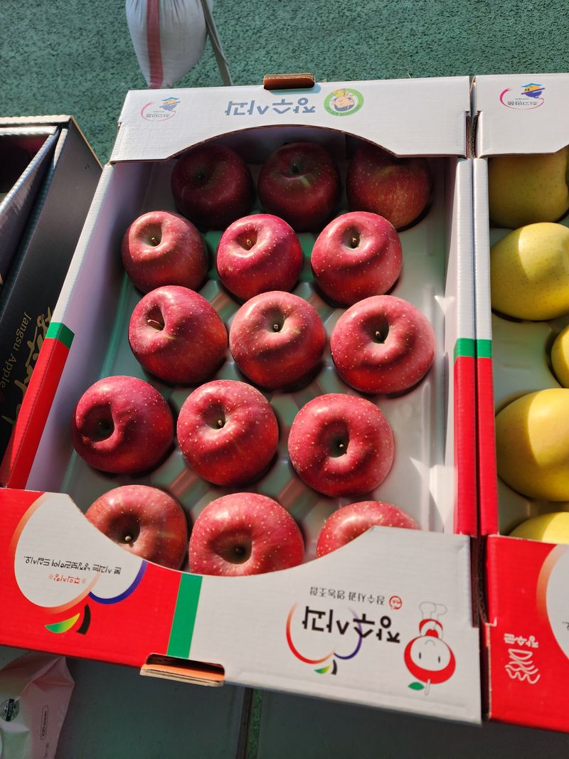 현등농원♡님의 장터 판매 상품 [부사사과 30000] 첨부 사진