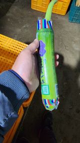 팜모닝 호박·병해충상담 게시글 이미지