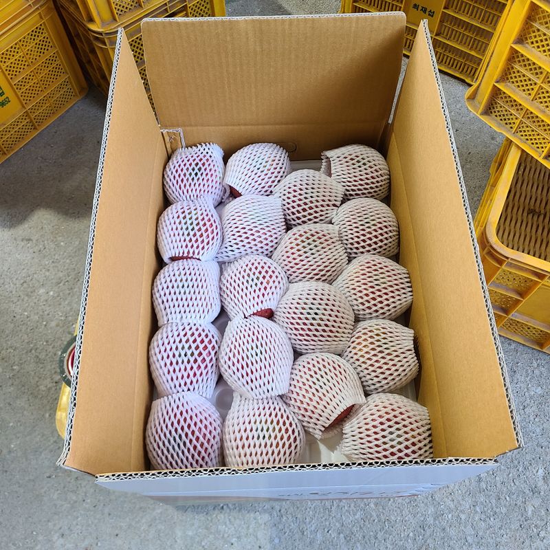 최경식님의 장터 판매 상품 [사과 팝니다(부사:미얀마) ] 첨부 사진