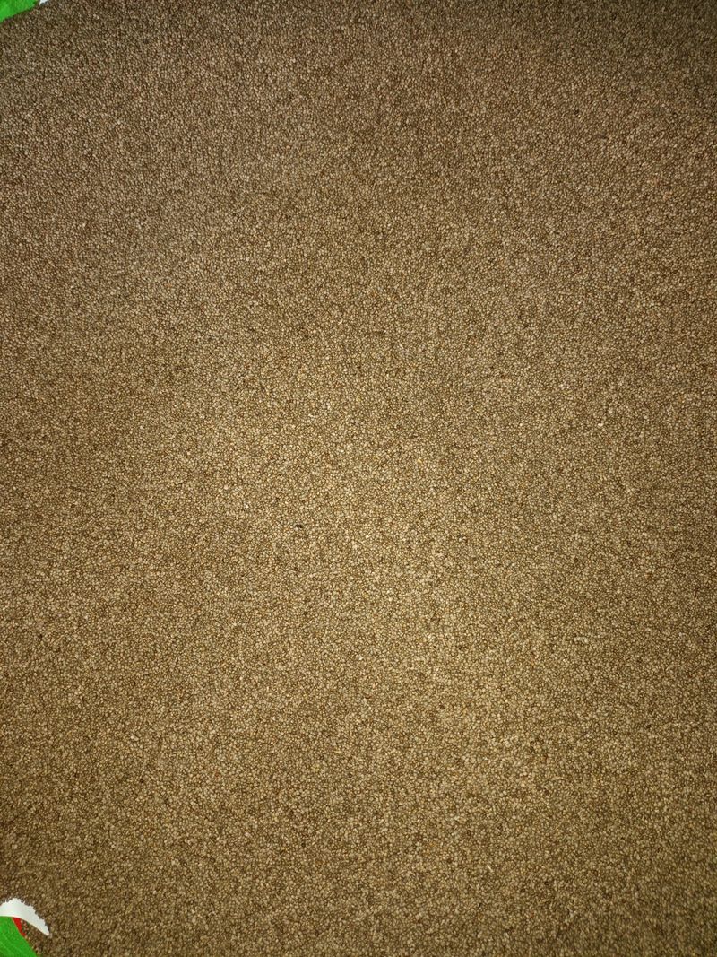 장터 상품 [들깨 80000] 썸네일