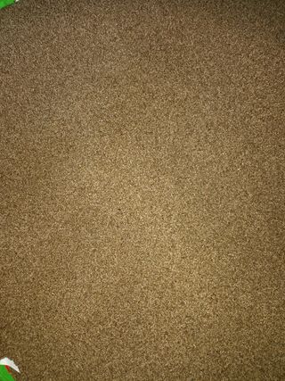 이정민님의 작성글 사진