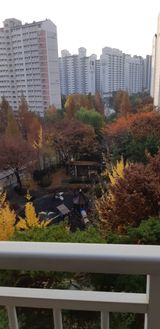 팜모닝 상추·자유게시판 게시글 이미지