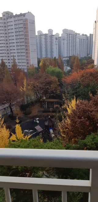 김기영님의 상추 · 자유게시판 작성글 사진