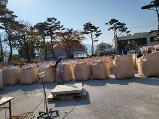 노력한만큼거둘수이다님의 벼 · 자유게시판 작성글 사진