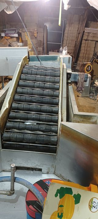 들깨20683님의 기타작물 · 자유게시판 작성글 사진