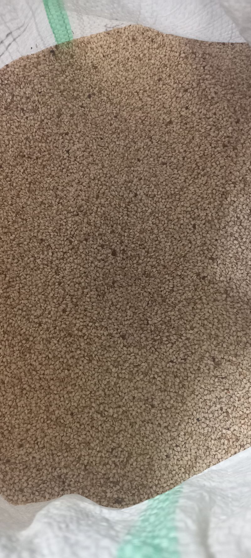 장만월님의 장터 판매 상품 [참깨(판매완료) 30000(한되가격이에요)] 첨부 사진