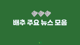 배추 농사도우미님의 배추 · 일상 작성글 사진