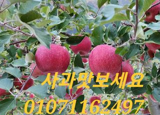 나실농원님의 기타작물 · 자유게시판 작성글 사진