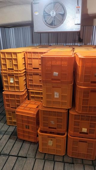 조창영님의 감 · 자유게시판 작성글 사진