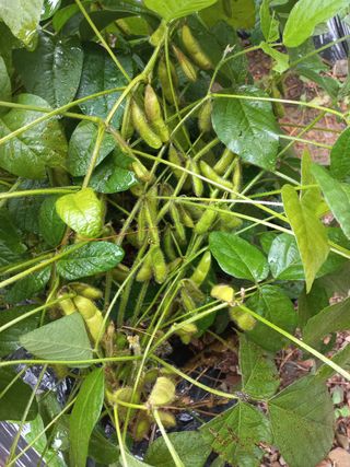 인생은 소풍처럼님의 작성글 사진