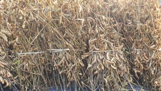 인생은 소풍처럼님의 작성글 사진