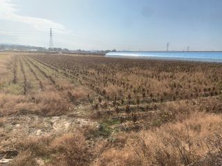 이제현님의 콩 · 자유게시판 작성글 사진