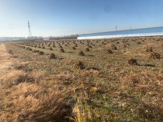 이제현님의 콩 · 자유게시판 작성글 사진