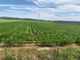 이제현님의 콩 · 자유게시판 작성글 사진