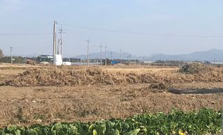 김기영님의 콩 · 자유게시판 작성글 사진