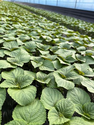 이선우님의 기타작물 · 자유게시판 작성글 사진