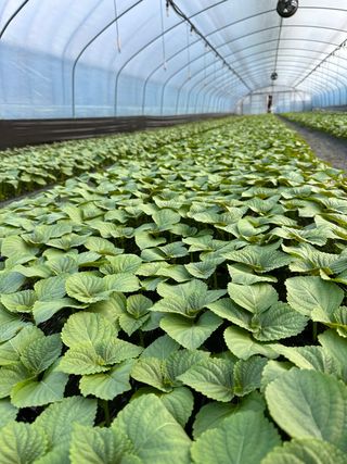 이선우님의 기타작물 · 자유게시판 작성글 사진