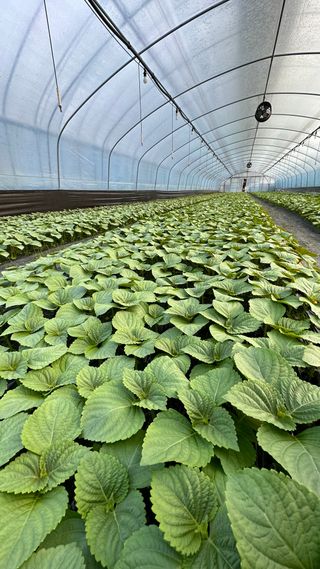 이선우님의 기타작물 · 자유게시판 작성글 사진